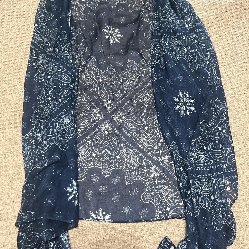 Navy Blue Paisley Shaw